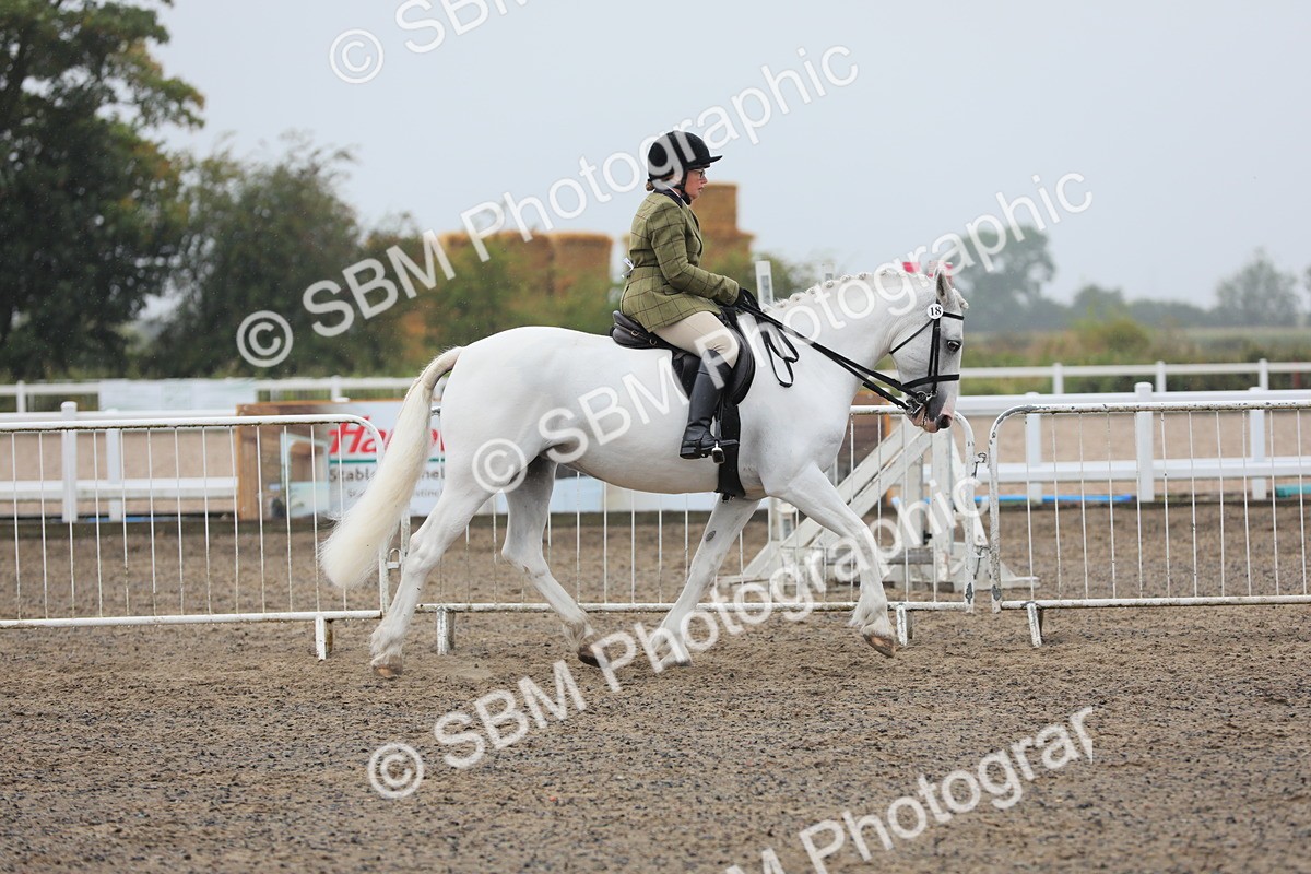 SBM_20276 - Class 803 - Ridden Combination 65+