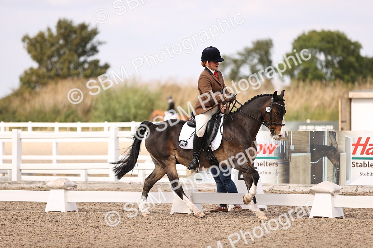 SBM_06057 - Class 37 Novice 5