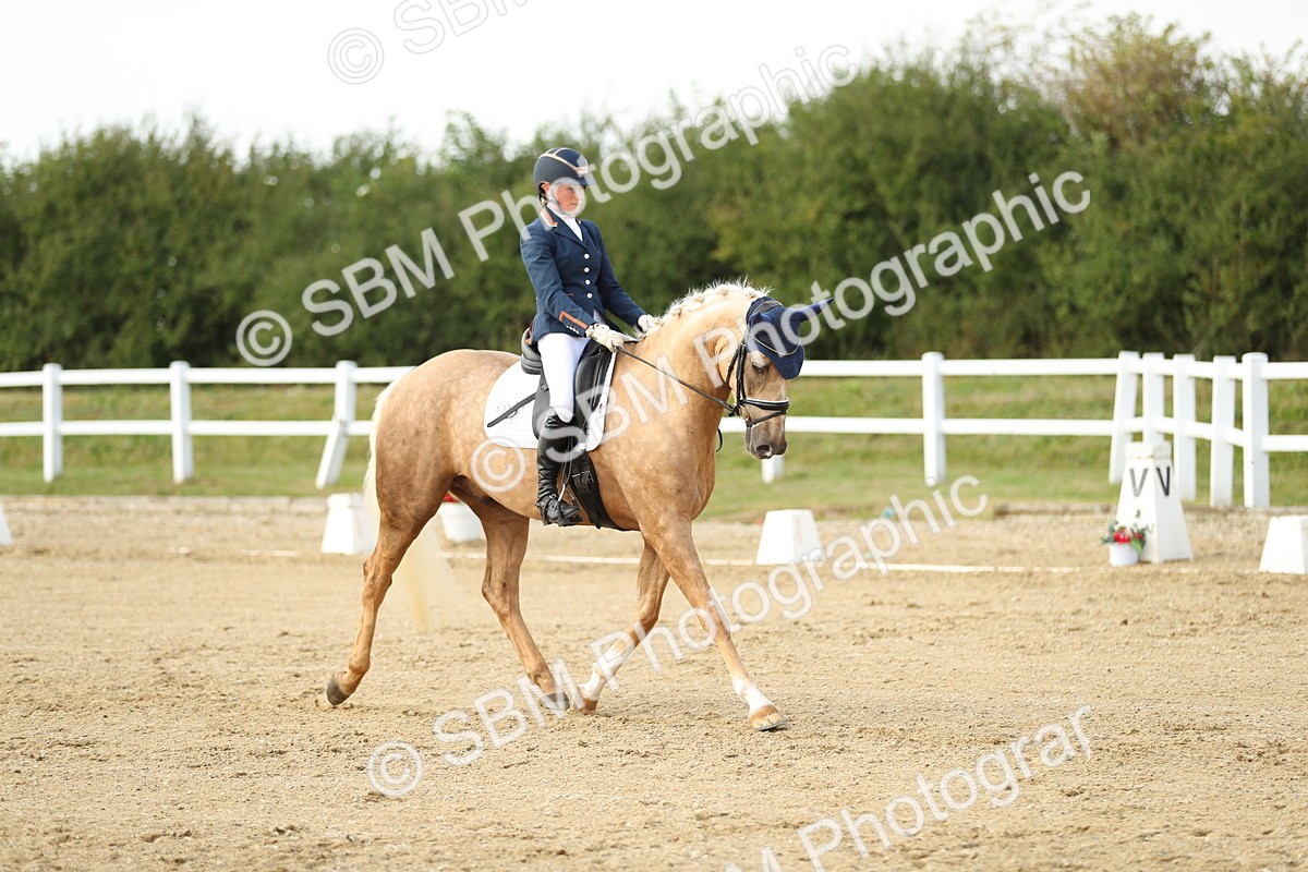 SBM_018510 - Class 14 - Novice 23 - 15.16-16.19