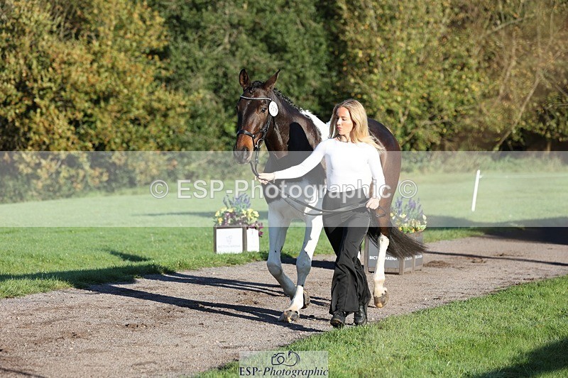 241027-085151-14857 - 307-Ava.Moor-LANGALLER.SUNRISE