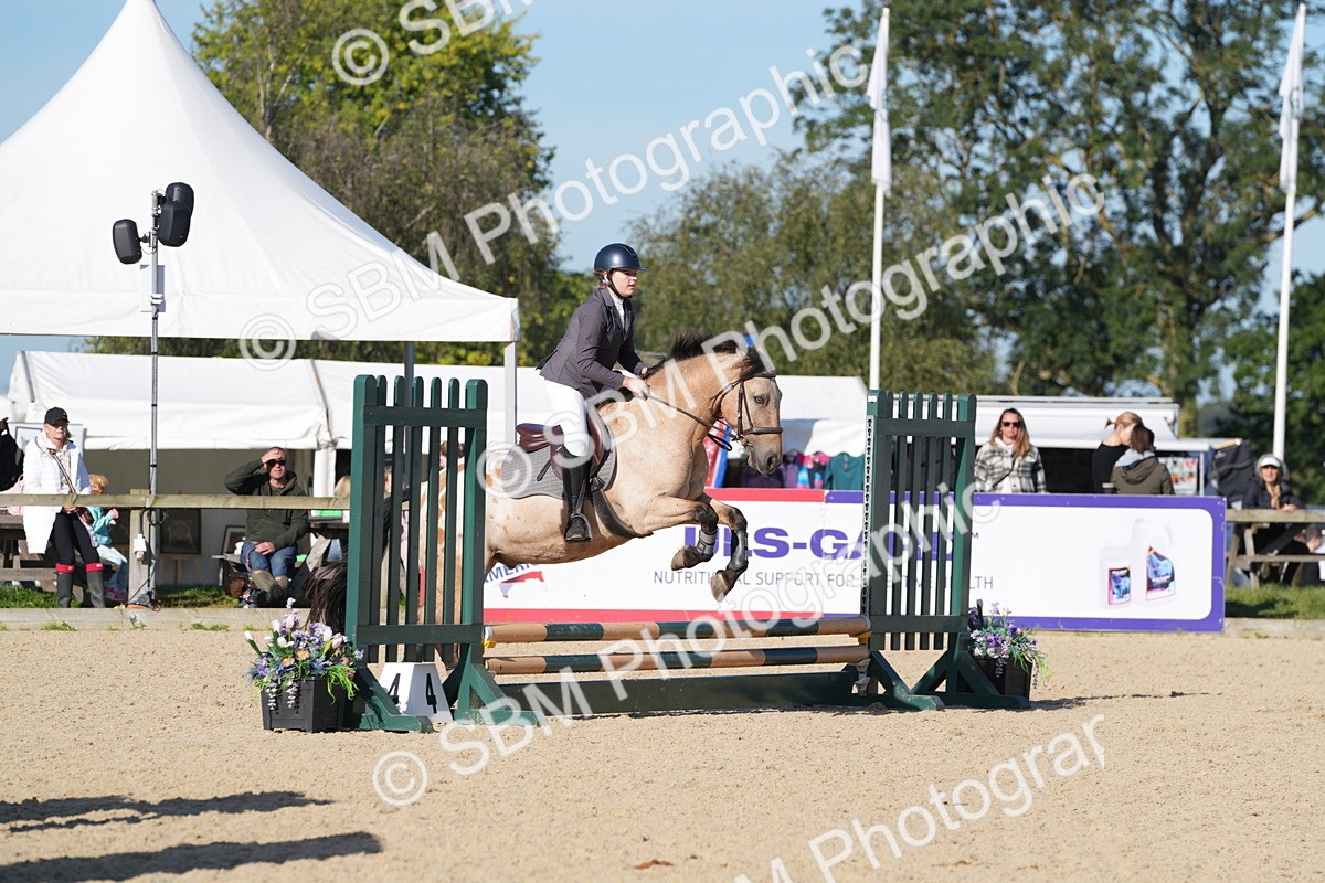 SBM_36100 - J 20 - Junior Horse 50cm Championship