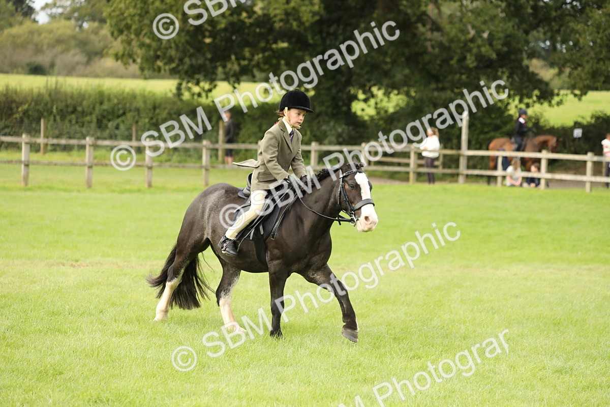 SBM_71592 - S41 - Ridden Equitation (Best Rider)