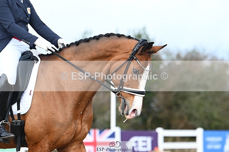 240218A-115850-06535 - 211-Charlotte.Dicker-Catherston.Timeless