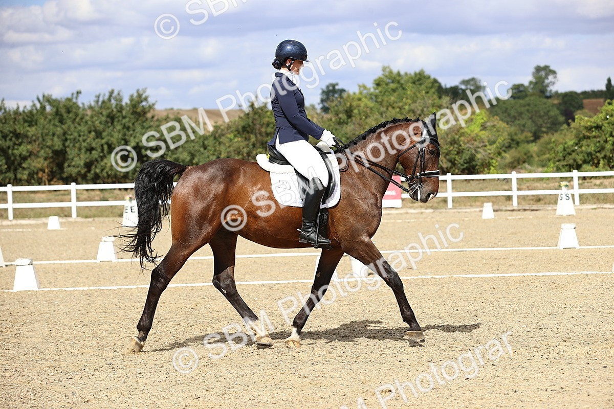 SBM_015208