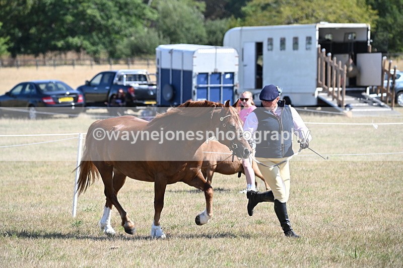 WJ6_4573 - Class 17 Mountain & Moorland