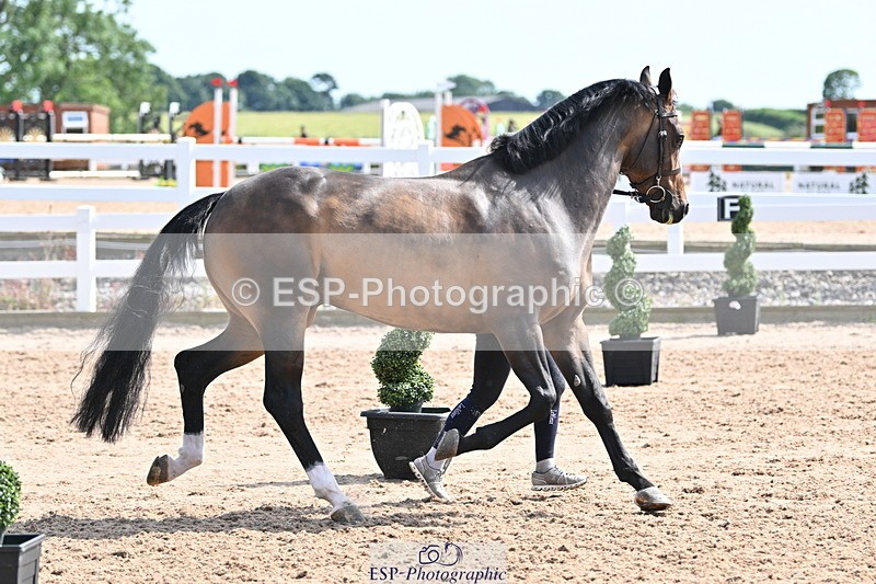 240717A-154618-03056 - Trot Up 3pm to 4pm