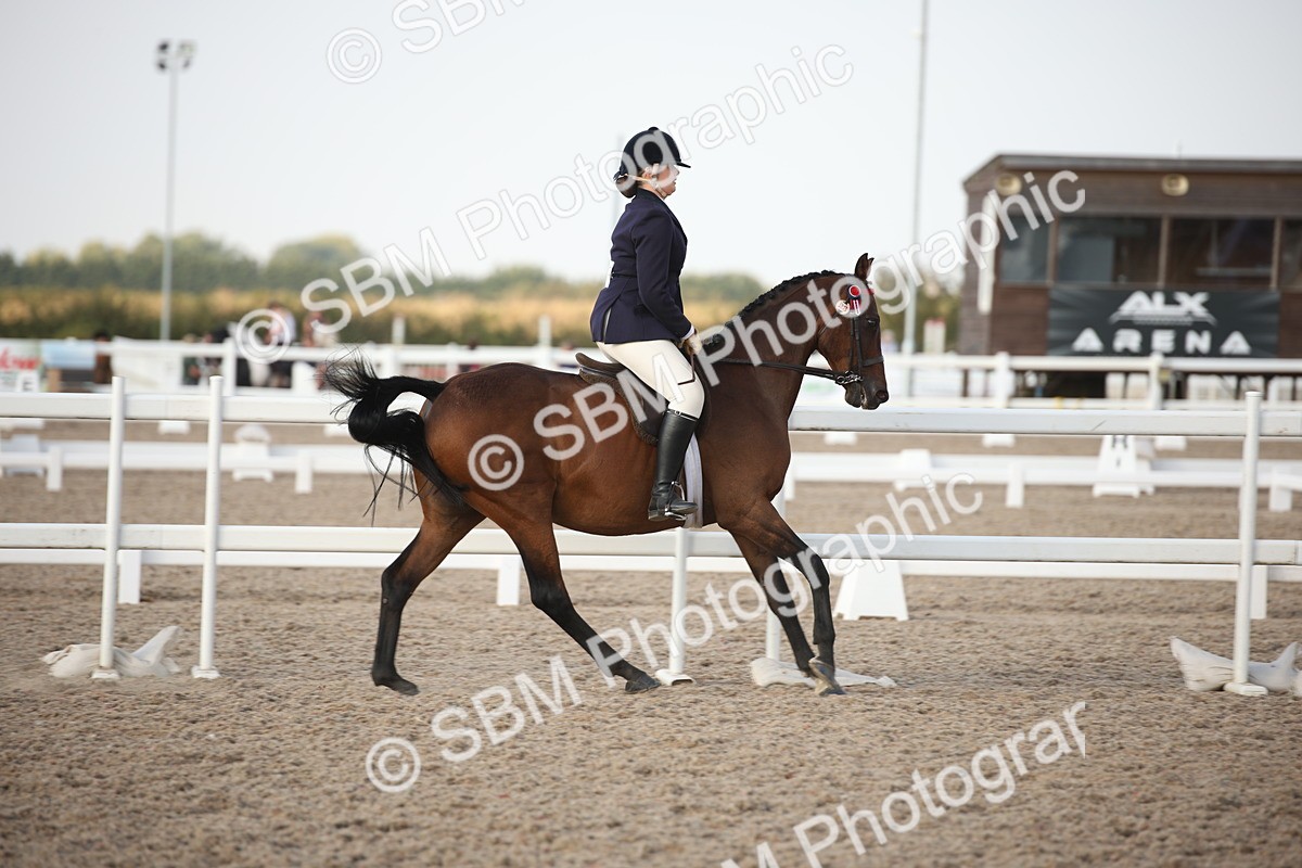 SBM_09199 - Regional Ridden Champ