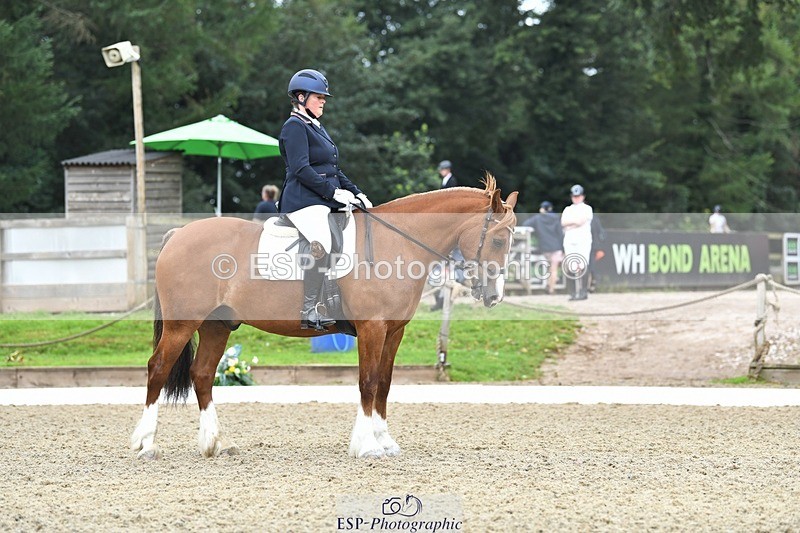 230812-092214-02774 - Cls 6 Novice Silver Start to 10.20 break