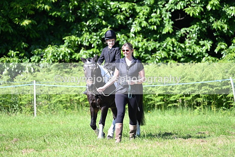 WJ7_0457 - Class 8 First Rally Pony