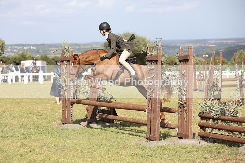 JPP_2726 - Class 20: Working Hunter 70cm