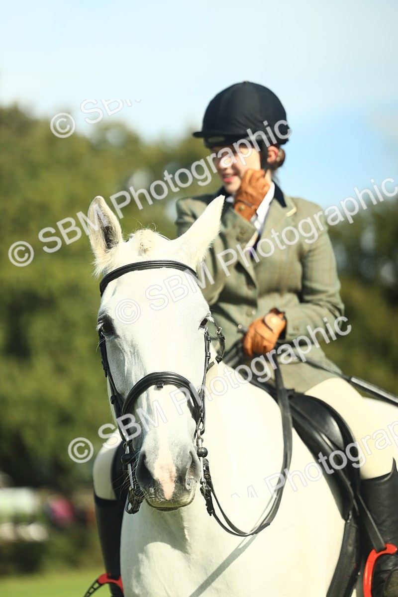SBM_49884 - S32 - Novice & Newcomers Working Hunter
