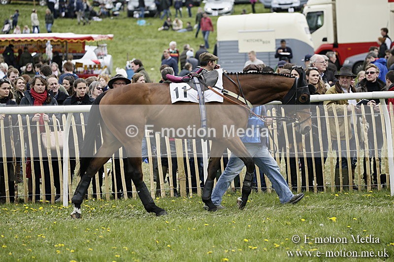 PtP 170417 474 - Old Berks Point-to-Point Lockinge 17/04/17