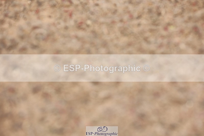 240621A-100241-00055 - Cls 3 BD Music Prelim