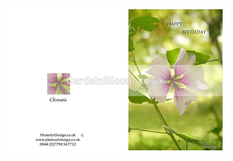 002 Happy Birthday - Birthday