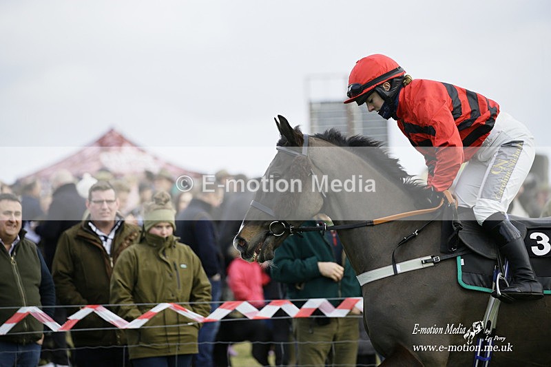 PtP 300122 457 - South Dorset Hunt - Point-to-Point Races 30/01/2022