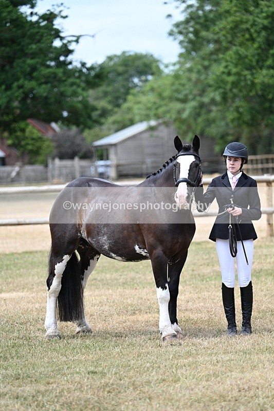 WJ7_1867 - Class 4a Prettiest Mare 14.2hh and over hand