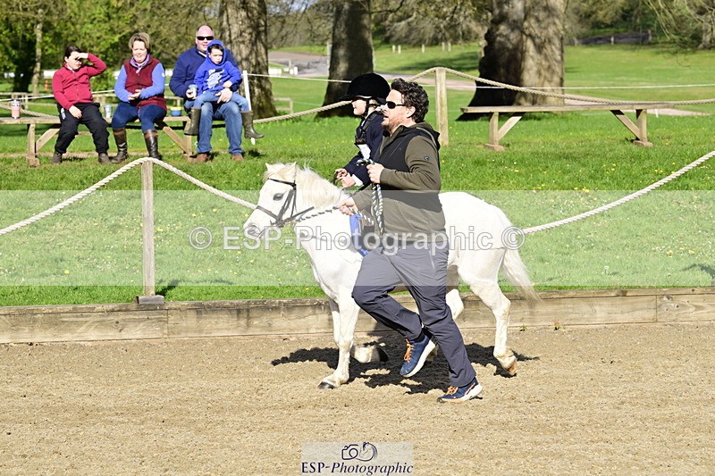 260411A-092348-00146 - 40cm Lead Rein