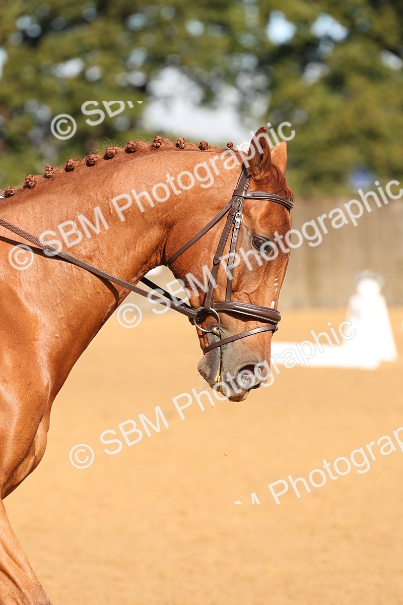 SBM_37584 - D18 - Grand Tour Championship Novice 2