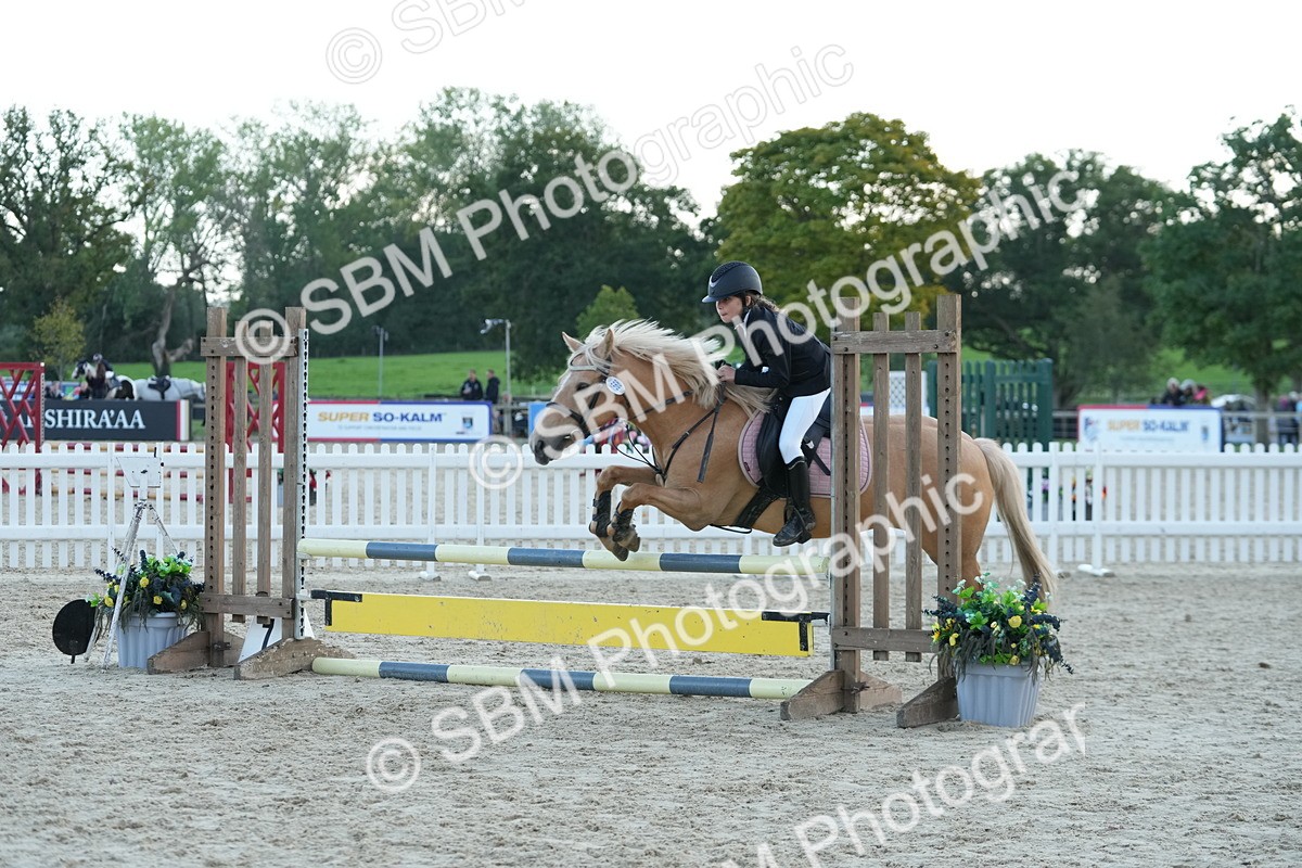 SBM_54213 - Supreme Championship 60cm 65cm