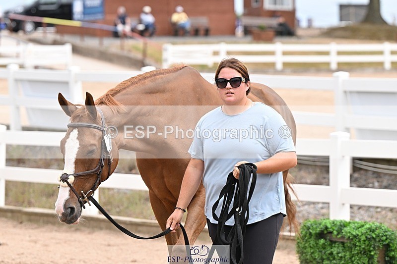 250716-144818-01412 - Trot Up 2.30 to 3.30