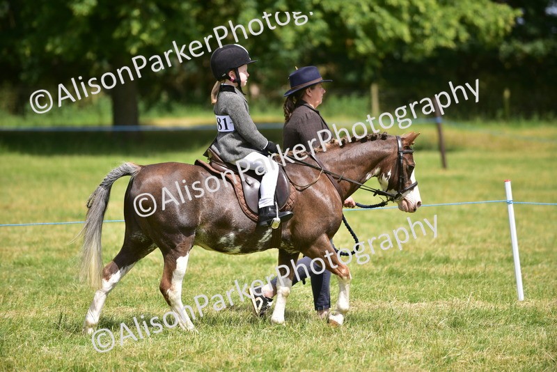 20260614-1357 - Class 11b - Lead Rein Pony (Plaited)