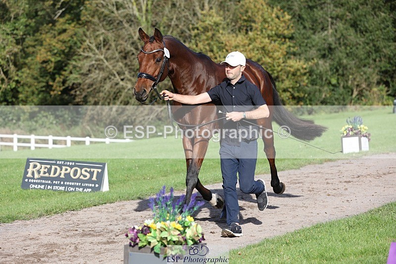 241027-103112-15939 - 584-Tommy.Greengard-I'M.ALL.IN