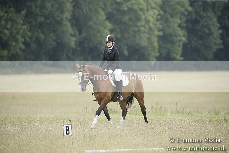 B230619-0657 - Bourne Valley Riding Club Summer Show 23/06/19