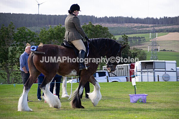 DSC_0240 - Ring 1