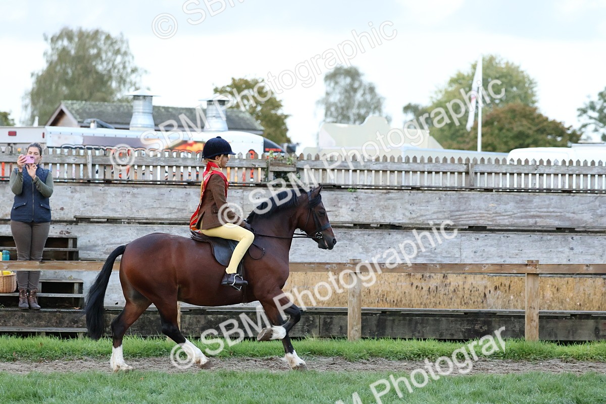 SBM_53425 - Super Supreme Championship (Sat)