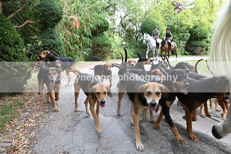 WJ6_3960 - Berks & Bucks - The Old farmhouse - Hound Exercise 20-08-25