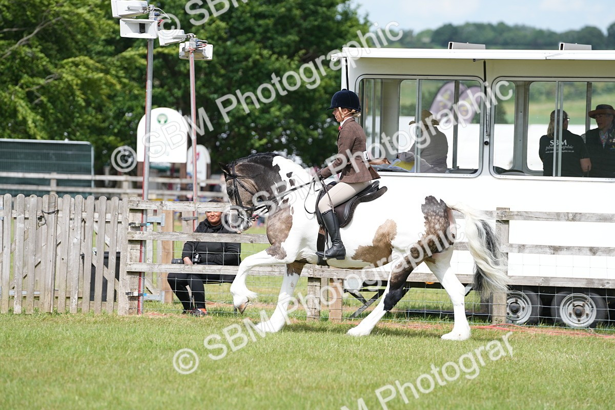 SBM_17231 - Class 107-108 - LIHS BSPS Performance Coloured Horse Pony