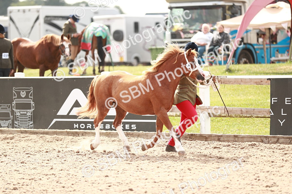 SBM_12415 - Class 207 IH M&M