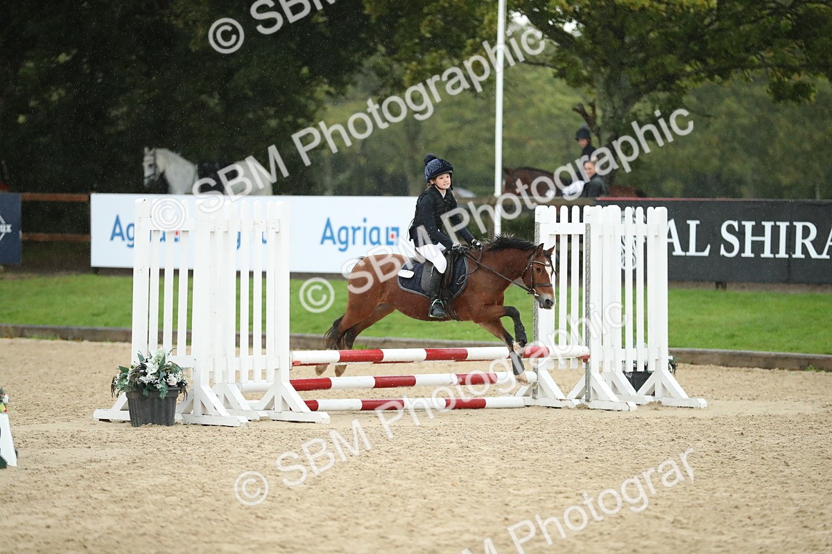 SBM_34334 - J60 Clear Round 50cm