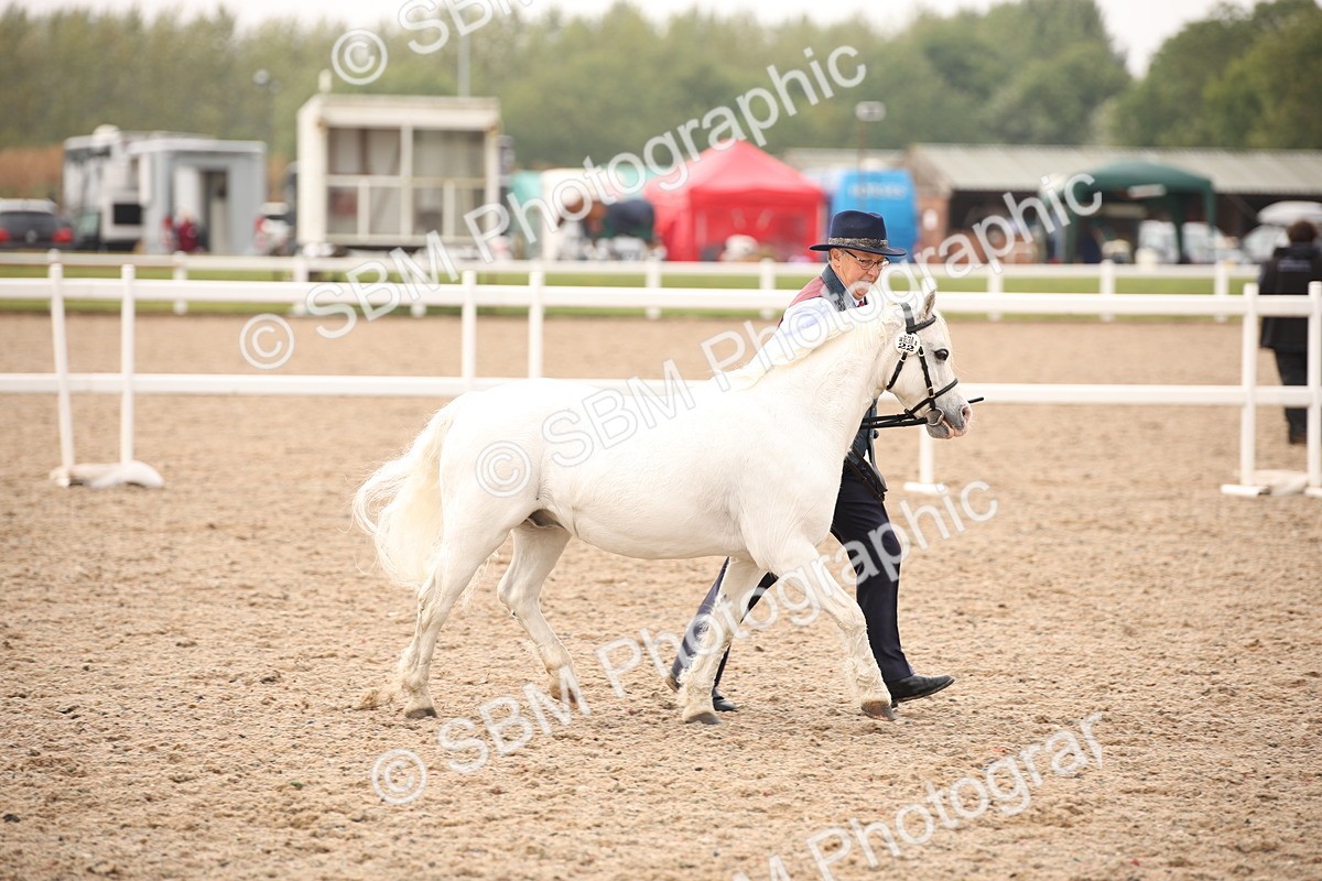 SBM_21450 - Class 706 - IH  Veteran