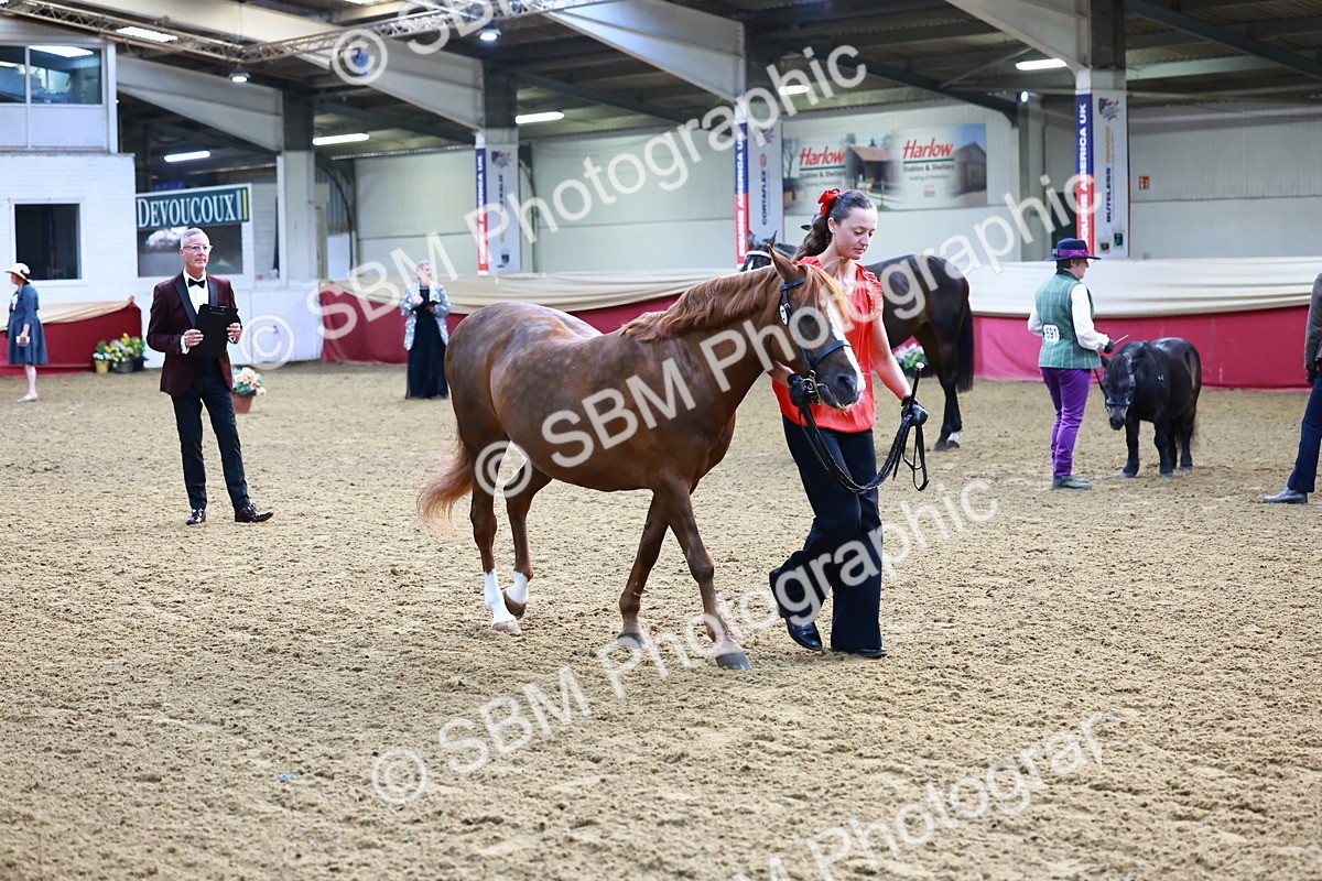 SBM_21688 - Class 901 - Supreme Final - IH  Diamond