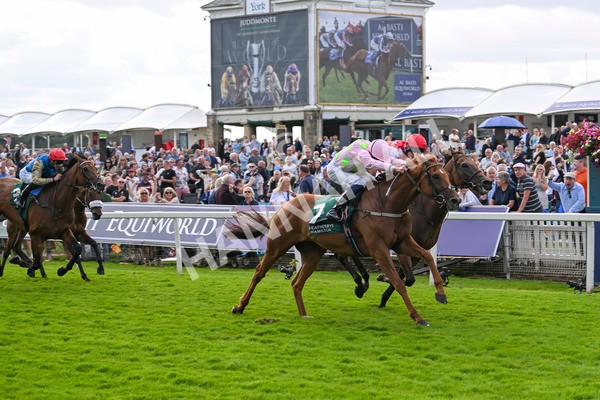 230824-Race 2-Vauban-8947 - Race 2 2.25pm Weatherbys Hamilton Lonsdale Cup Stakes