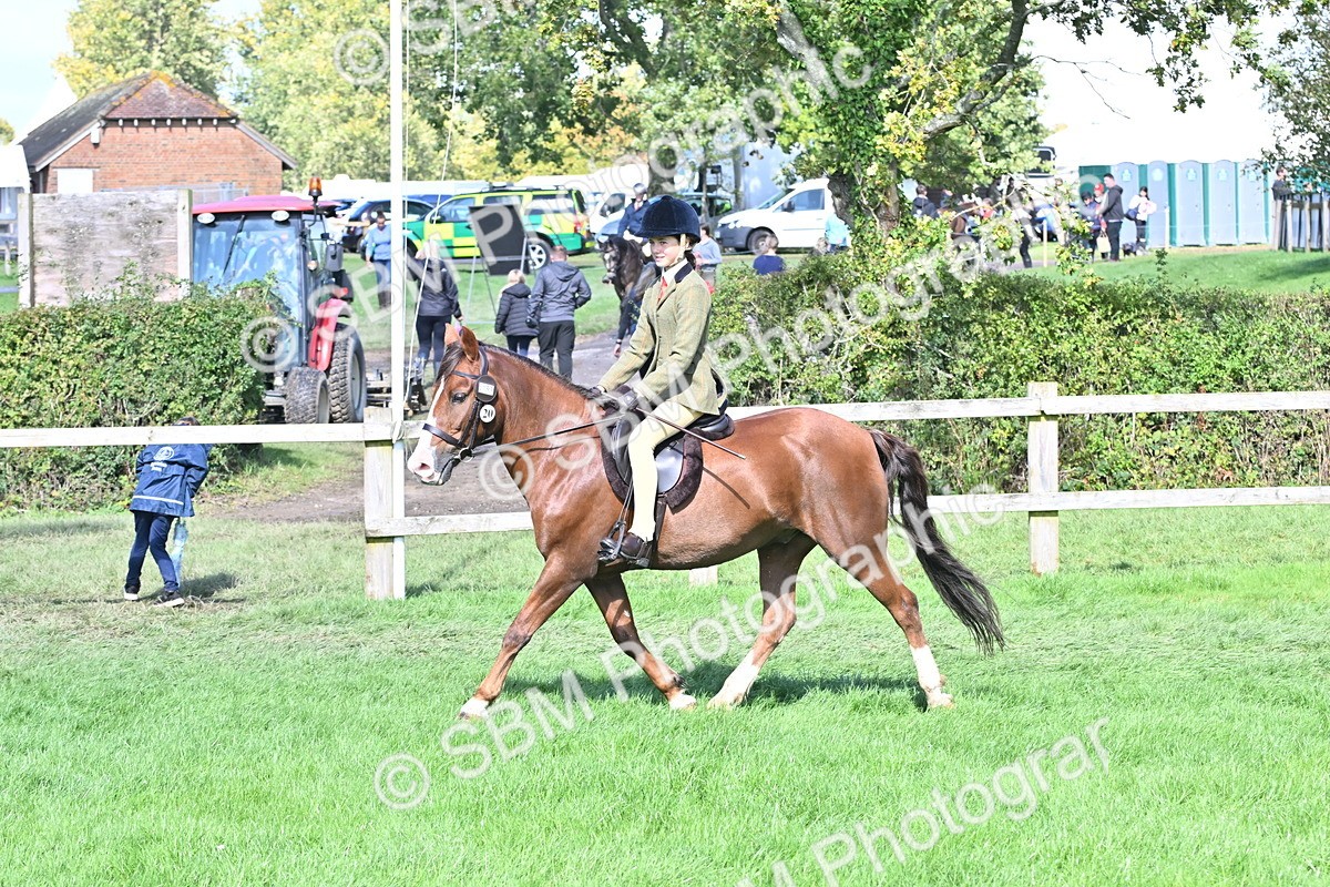 SBM_44551 - S13 - Pony Club Pony