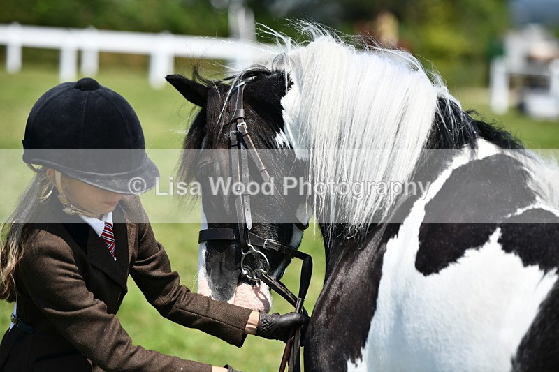 DSC_7677 - Class 64: Coloured Pony 4yrs & over