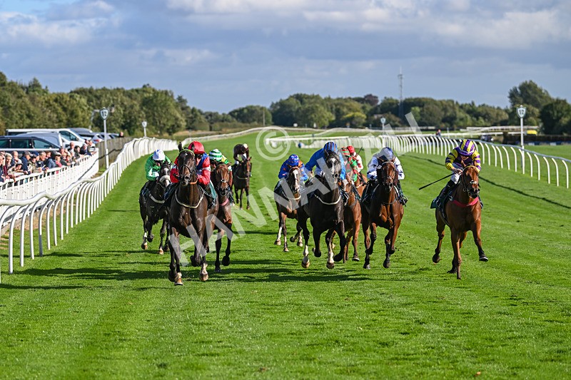 100924-Race 5-Crocodile Power-0428 - Race 5