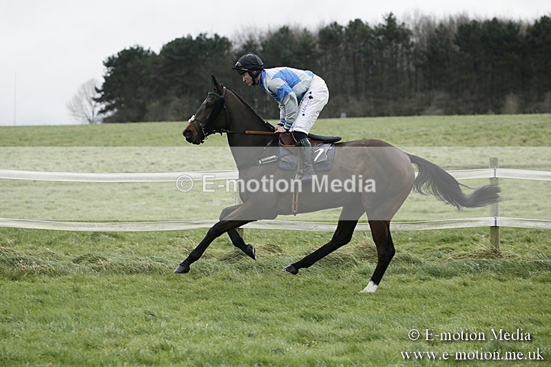 PtP 031217 241 - Hursley Hambledon Point-to-Point Larkhill 03/12/17