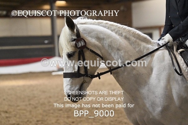 BPP_9000 - NOVICE 6
