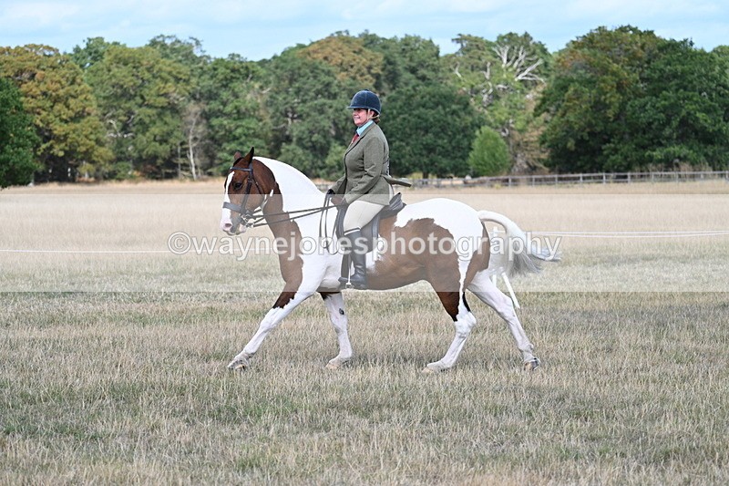 WJ7_6955 - Class 14 Ridden Coloured