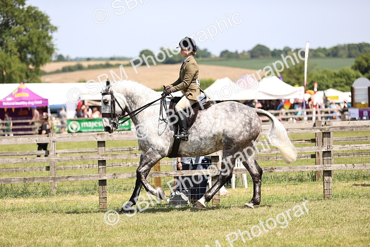 SBM_16111 - Class 79-80 - LIHS BSHA Rising Star Ridden Hunter