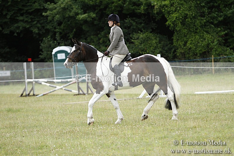 BVR160717-113 - Ring 3 BVRC Show 16/07/17