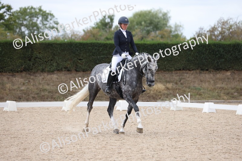 20250820-0943 - Class 16 - Novice 5