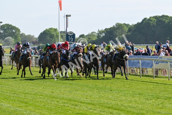 140525-Race 5-Rare Change-2705 - Race 5 4.18pm Conundrum HR Consulting Handicap