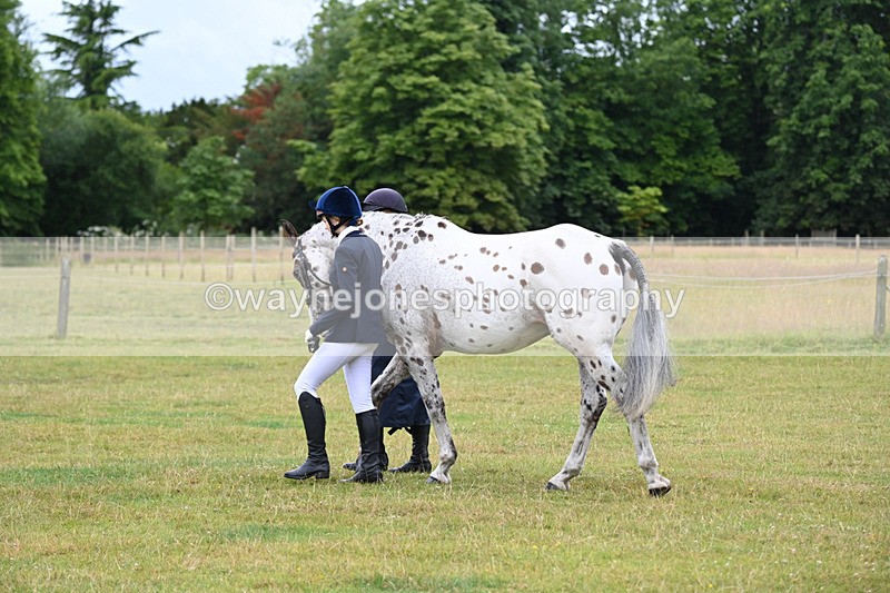 WJ6_8757 - Class 10 Coloured in-hand