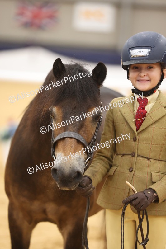 20260913-1141 - Class 110 - Bred In Other In Hand