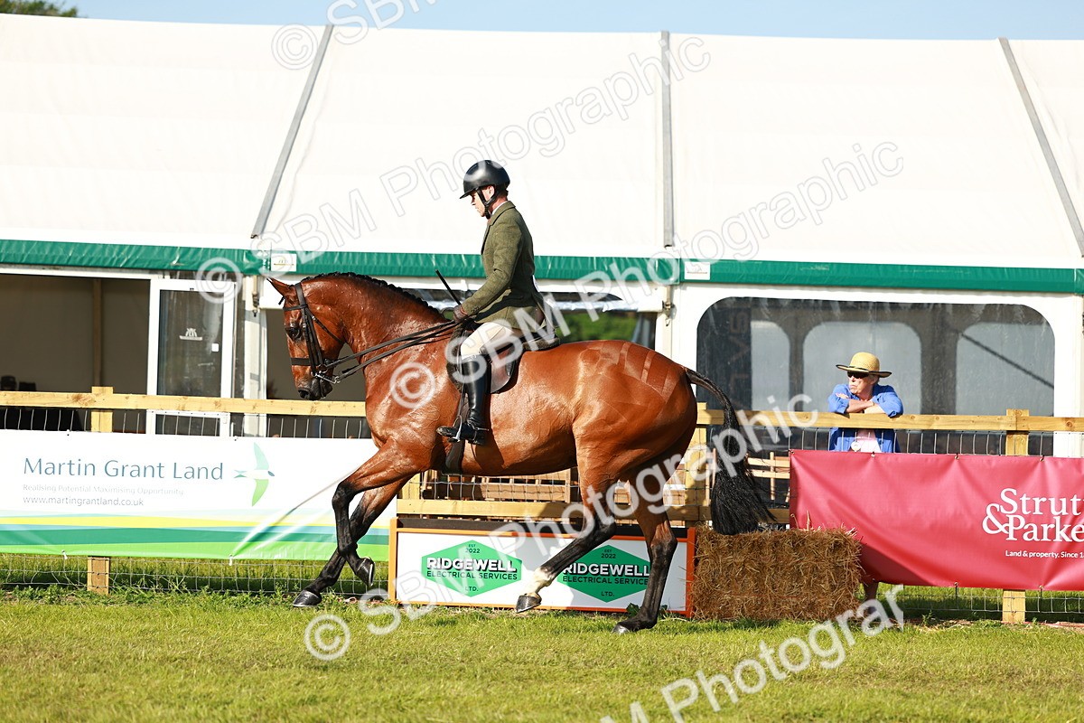 SBM_10768 - Class 66-69 - RIHS Ridden Hunters Inc Small Hunter