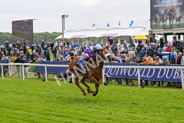150525-See The Fire-4466 - Race 3 3.13pm Al Basti Equiworld Dubai Middleton Fillies' Stakes